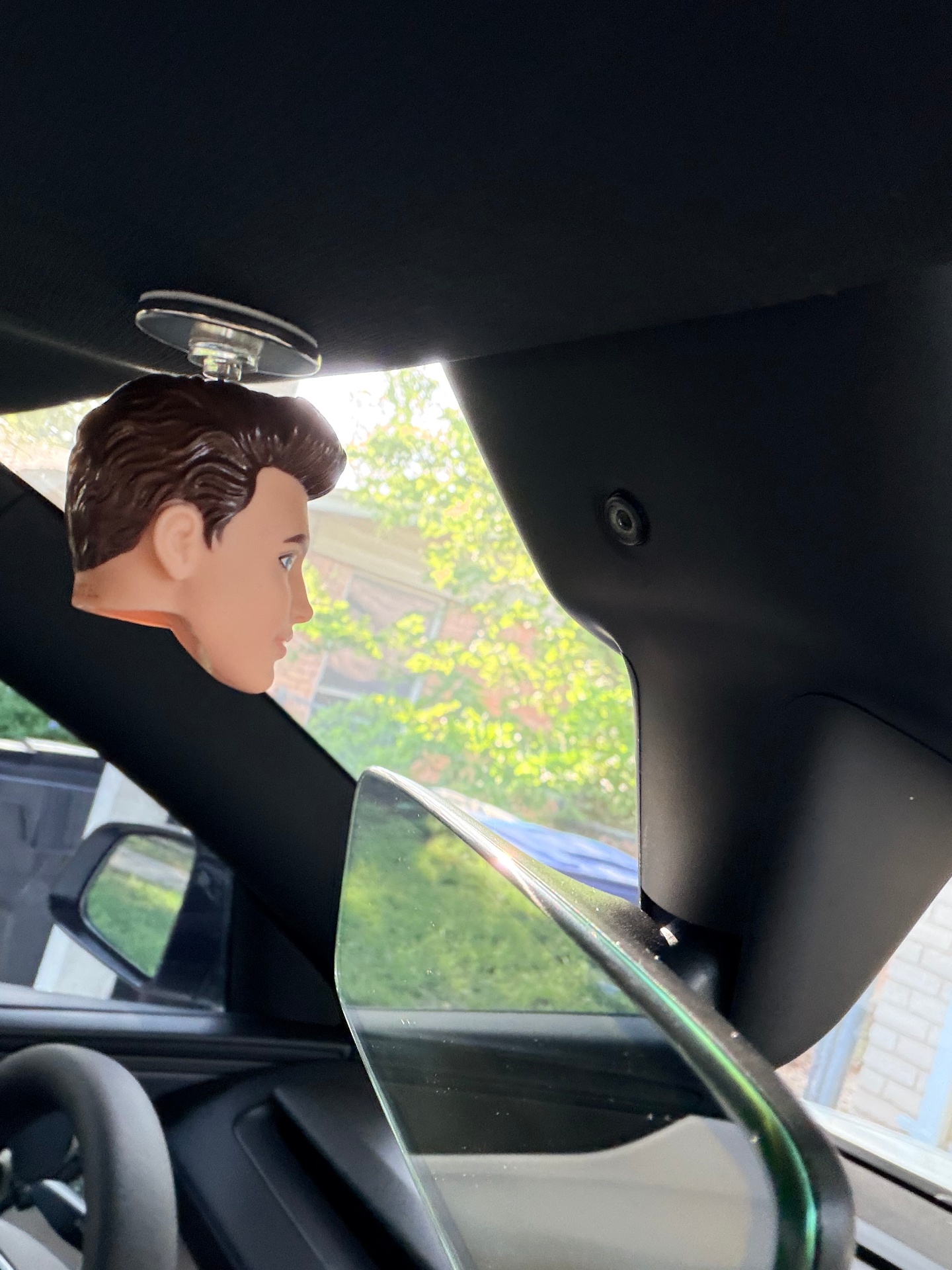 Tesla cabin camera preview showing the FSD Buddy doll head mounted in front of the driver-monitoring lens